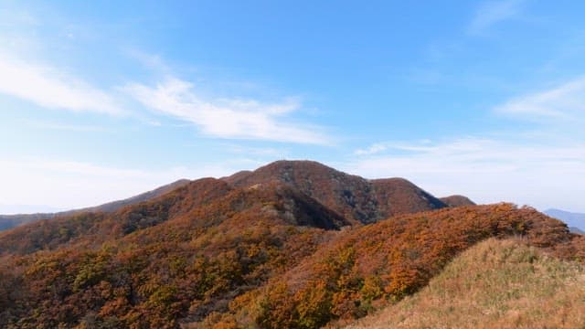 Autumn Foliage Covering Mountain Landscape
