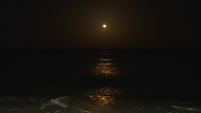 Moon Rising over the Wavey Beach on a Dark Night