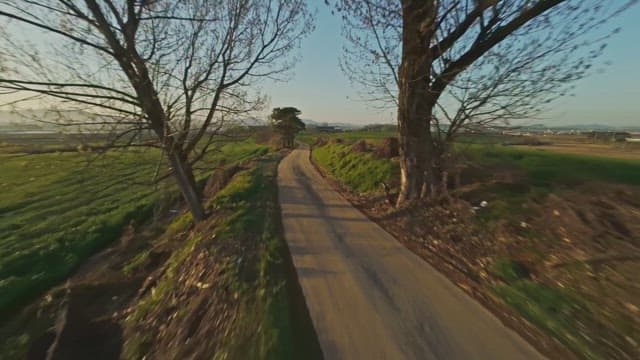 Winding rural road through green fields
