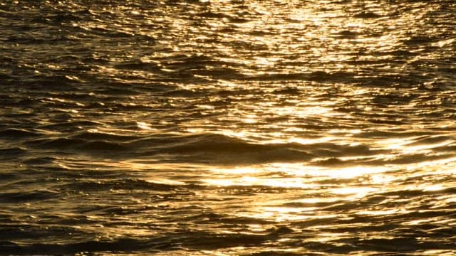 Waves of the sea colored by the setting sun