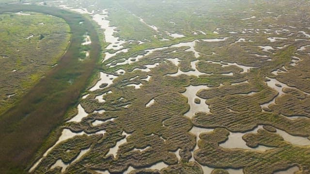 Scenery of wide open fields