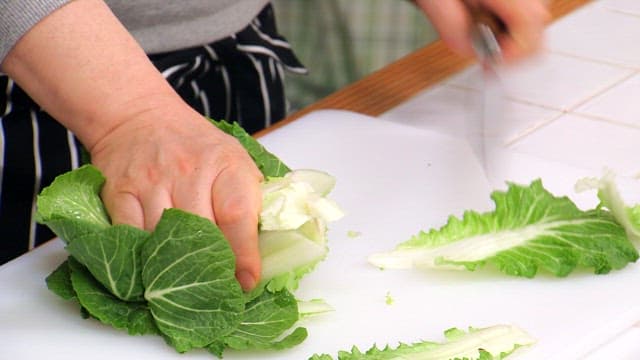 Chopping fresh spring cabbage on a cutting board