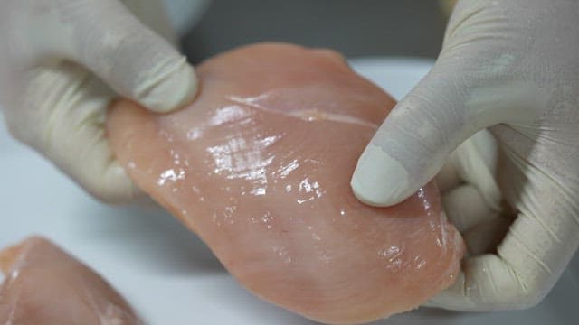 Gloves-wearing hands examining raw chicken breast