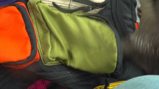 Otters searching through colorful bags