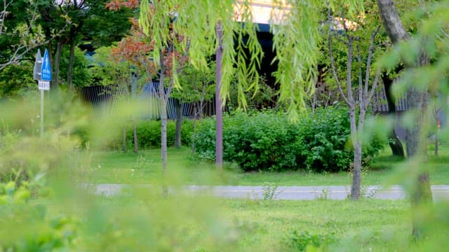 Green park with cyclists