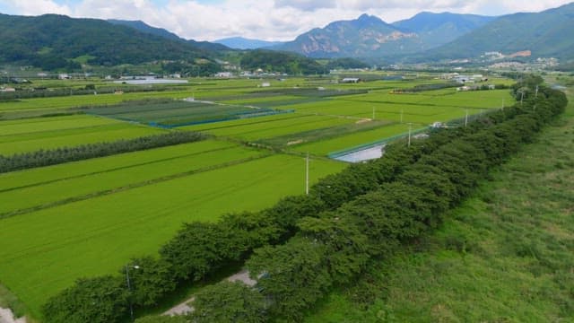 Expansive green fields with distant mountains
