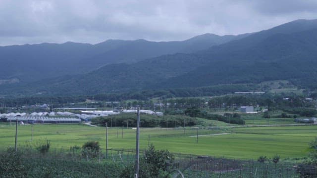 Rural Village with Greenhouses and Farmlands