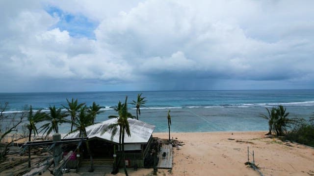 Secluded Tropical Beach with Palm Trees and Blue Sea