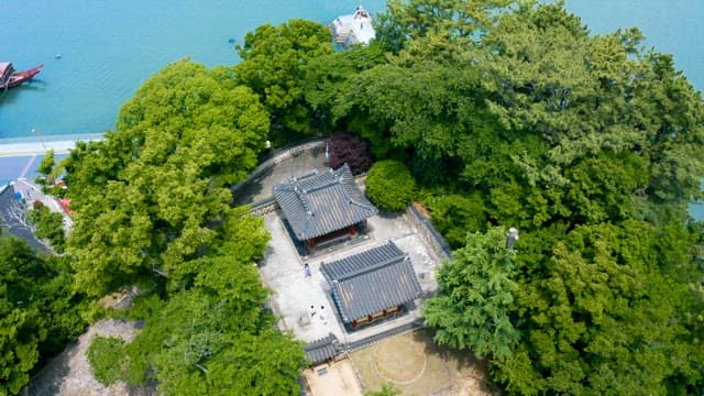 Aerial View of Korean Traditional Buildings Amidst Greenery