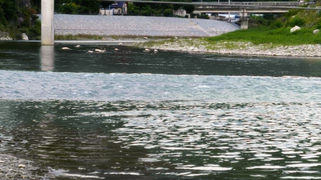 River flowing under a bridge in a scenic urban setting