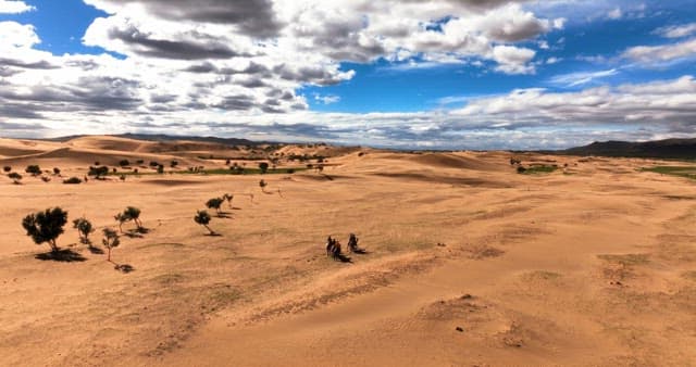 Camels and travelers in a vast desert
