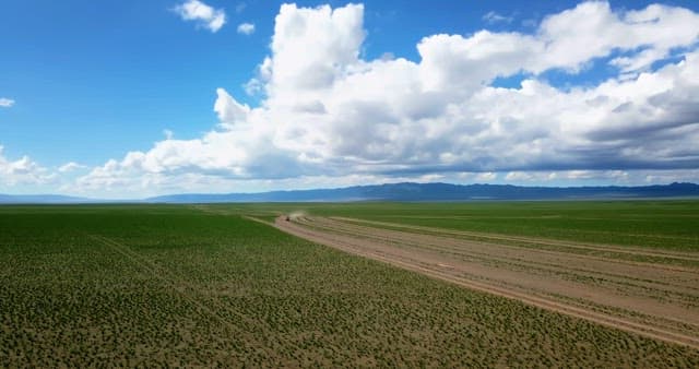 Car driving through vast green fields