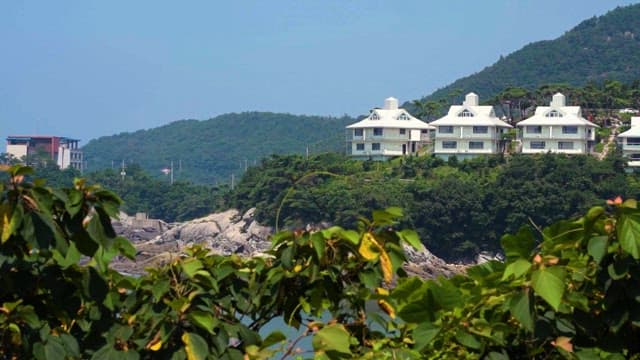 Coastal homes nestled among green hills