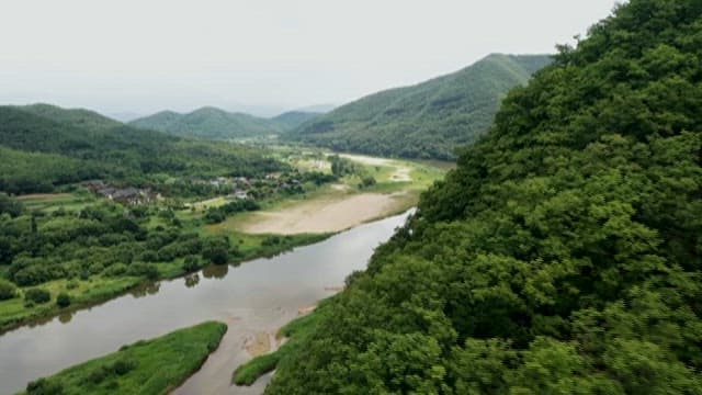 Serene River Winding Through Lush Greenery