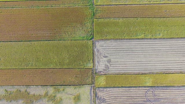 Expansive farmland with roads and buildings