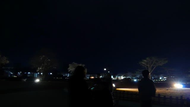 People looking at Cheomseongdae illuminated at night
