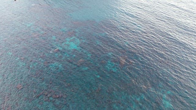 Clear ocean waters with visible coral