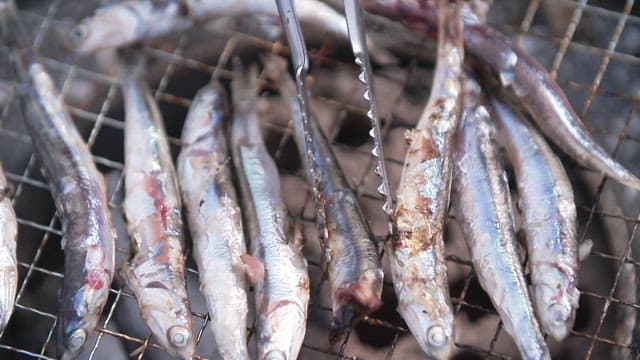 Grilling anchovies on a small grill using tongs