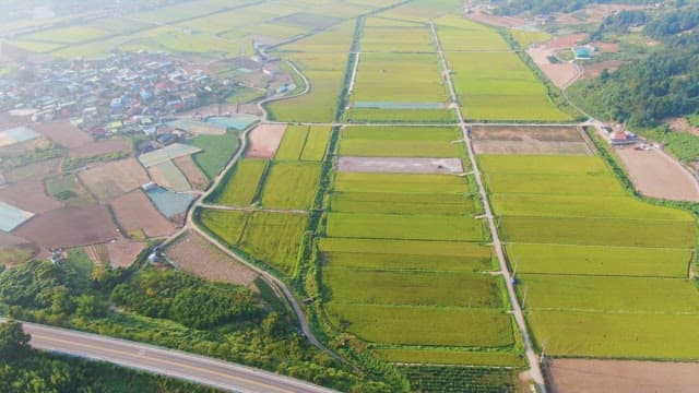 Expansive farmland with a nearby village