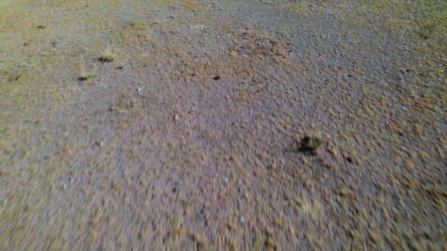 Vast Prairie with Water Body and Grazing Animals
