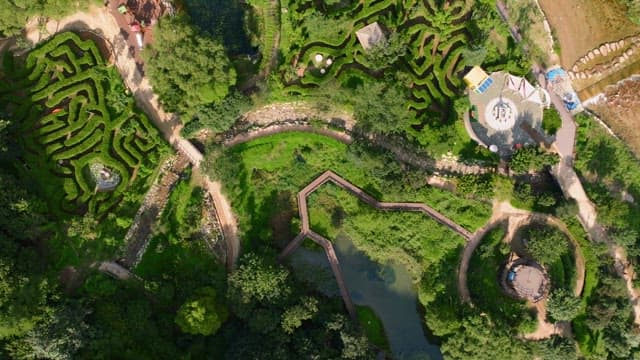 Aerial view of a lush green maze garden