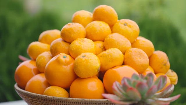 Fresh Oranges in a Garden Basket