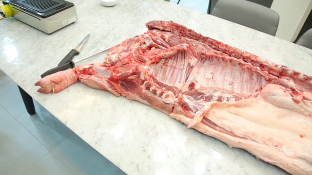 Large piece of pork on a kitchen table