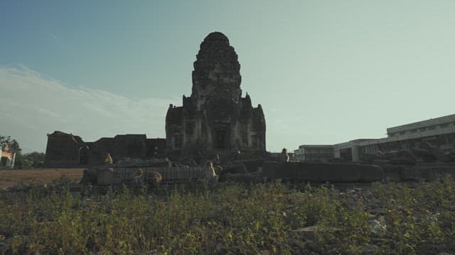 Monkeys Resting in Ancient Temple in the Early Morning