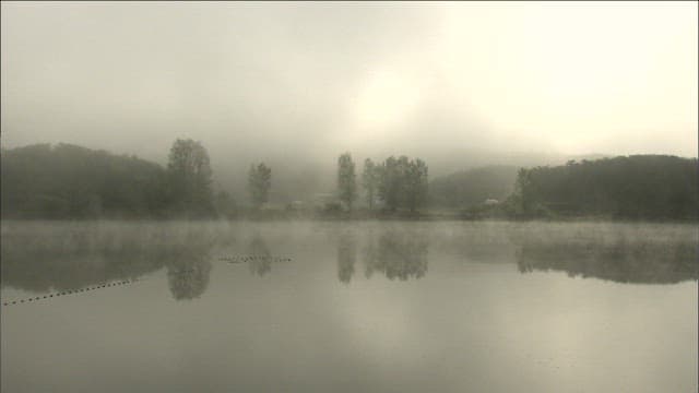 Misty Reservoir Scene at Dawn