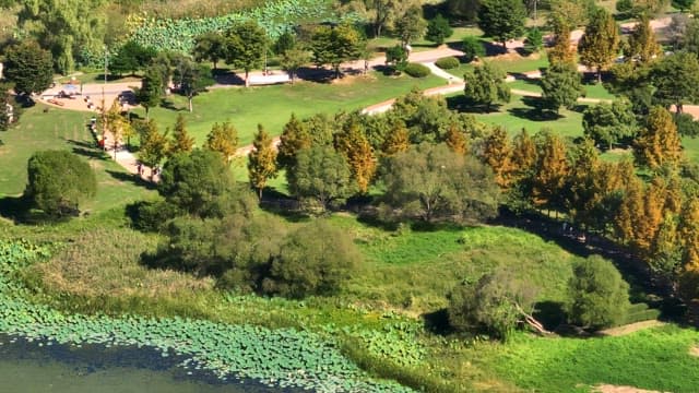 View of a lush green park with pathways