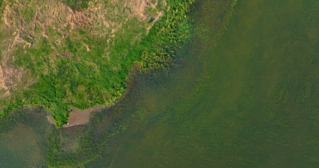 Green artificial island by the lake