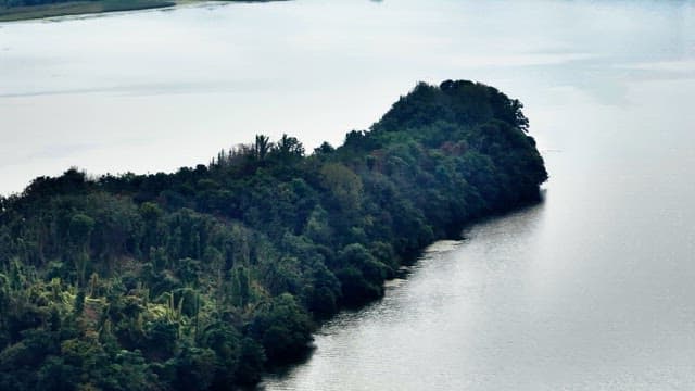 Lush green island surrounded by calm water