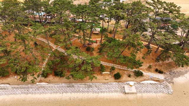 Aerial view of a coastal forest park