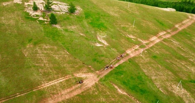 Horse riders on a vast green hillside