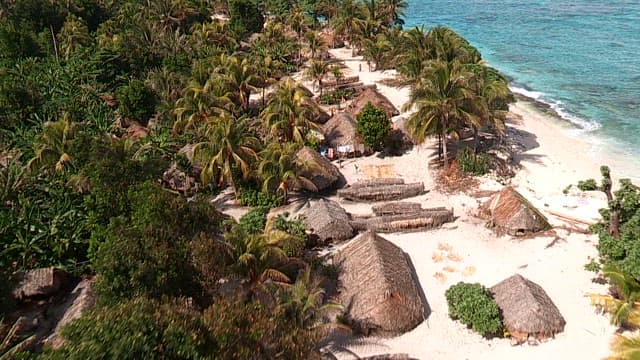 Coastal village with tropical huts and lush greenery
