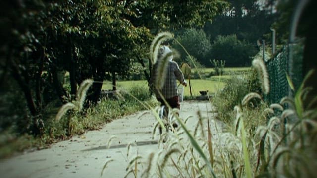 Elderly Person Riding a Bicycle on a Quiet Rural Path