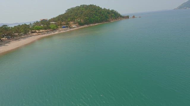 Serene beach with clear sea and trees
