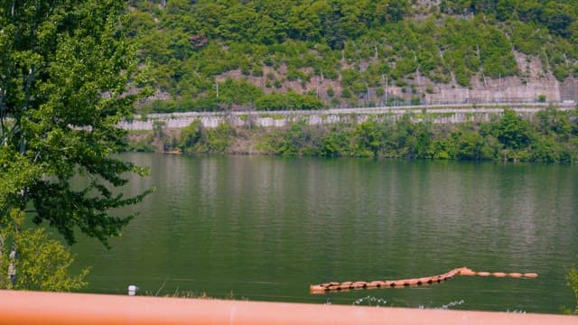 Man Contemplating by Serene Lakeside with Greenery