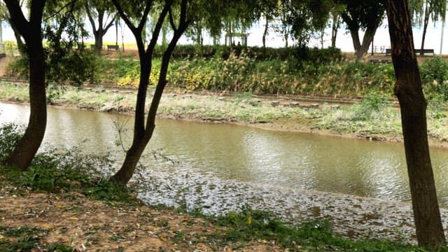 Serene Park Scene with Riverside View
