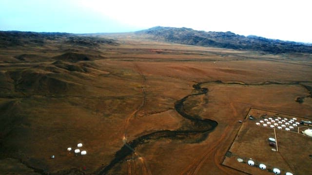 Vast Desert Landscape with Gers