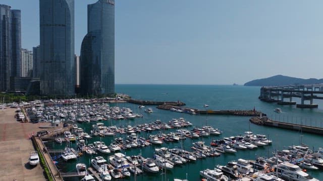 Yachts anchored in a coastal harbor with high-rise buildings on a sunny day