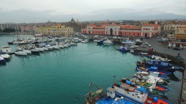 Boats anchored in the harbor of a coastal city