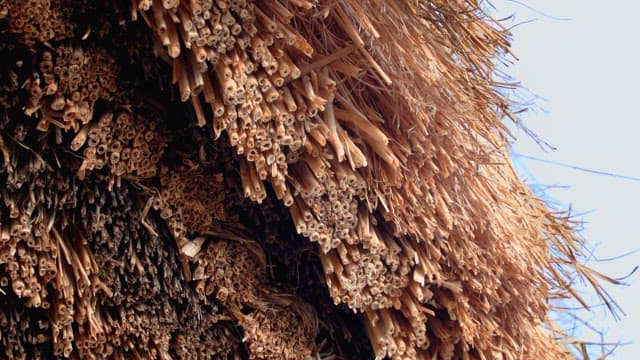 Detailed traditional thatched roof of rural house