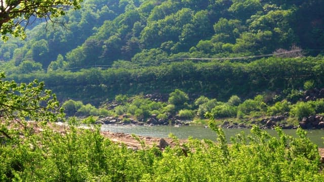 Calm river flowing through a lush green valley in the sunlight