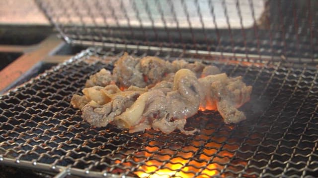 Appetizing meat grilled with tongs on a charcoal grill