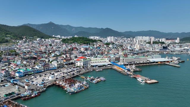 Bustling coastal city with a vibrant port