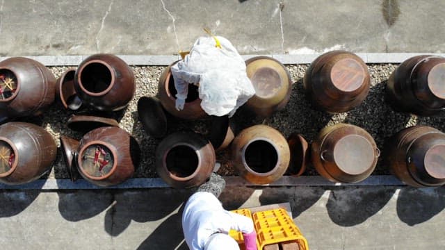 Traditional crocks arranged for fermentation in a large outdoor space
