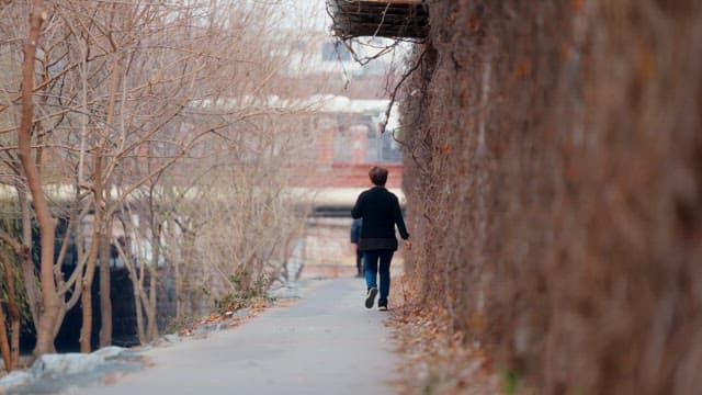 People walking along a tree-lined path