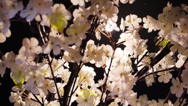 Cherry blossom decorations brighten up the interior