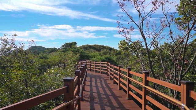 Walking Path Surrounded by Greenery Under a Clear Sky
